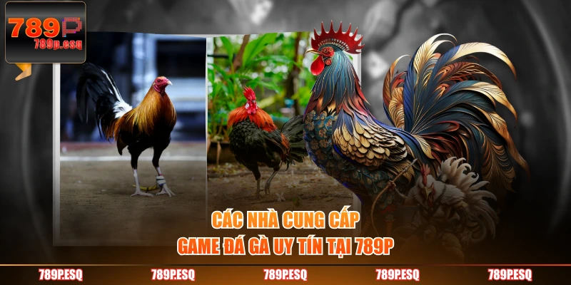 Các nhà cung cấp game đá gà uy tín tại 789P