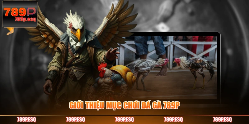 Giới thiệu mục chơi đá gà 789P