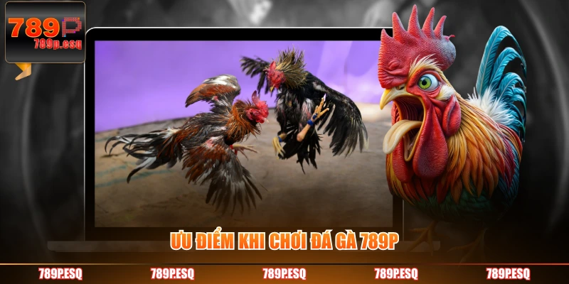 Ưu điểm khi chơi đá gà 789P